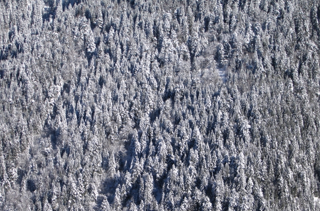 Chapotet BELLEDONNE 029rc.jpg